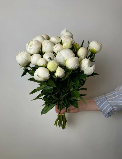 2 2