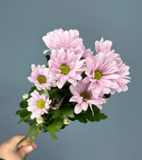 IMG_9665 IMG_9665