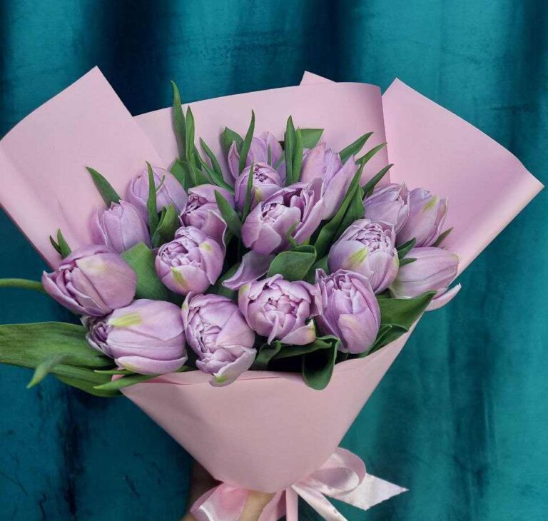 2026-03-26 22.19.05 2026-03-26 22.19.05