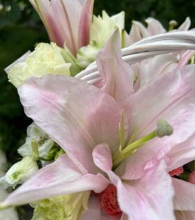 flower_18 flower_18