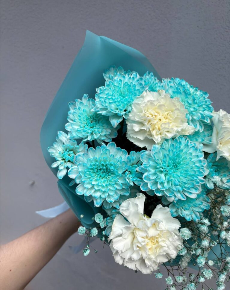 н3 н3